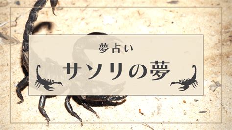 夢占い さそり|【夢占い】サソリの夢は凶夢？刺される/追い払う/退。